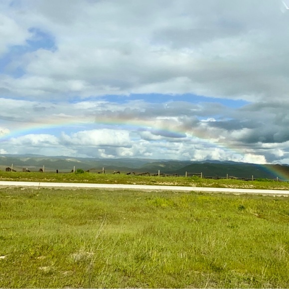 Meet your Posher, Gina - Picture 2 of 2